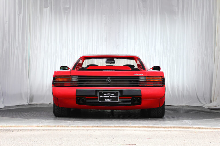 F77A6954