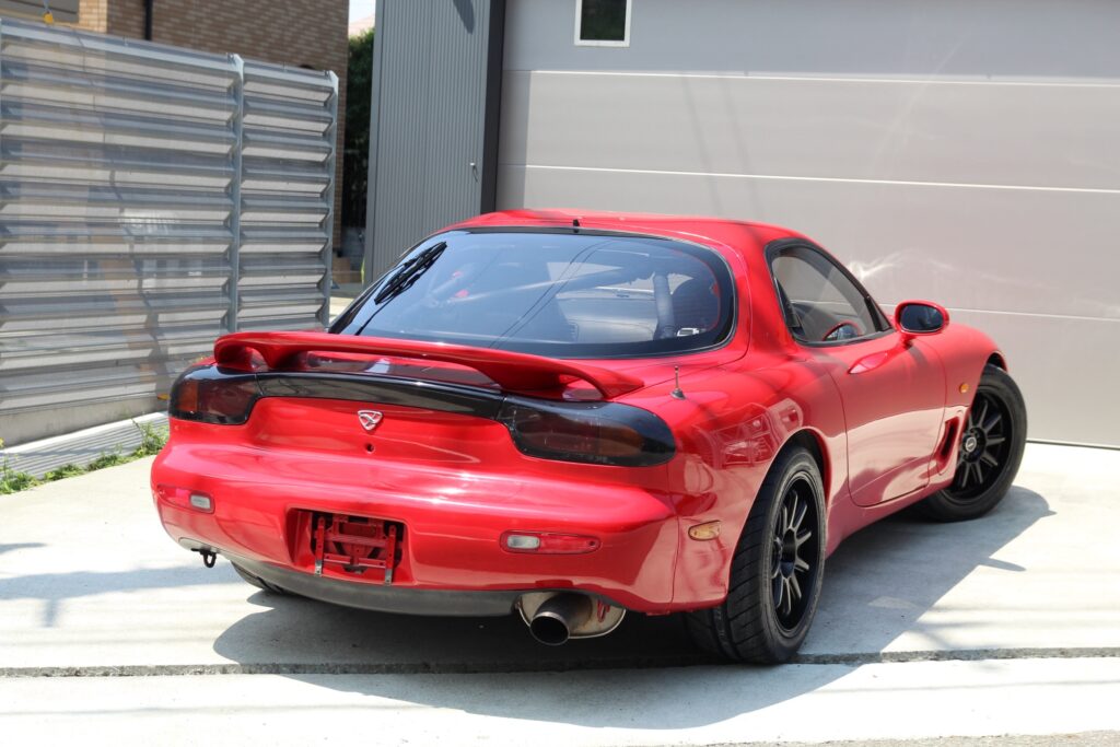 IMG_6530